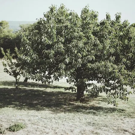 Domaine De Carraire بيت ضيافة